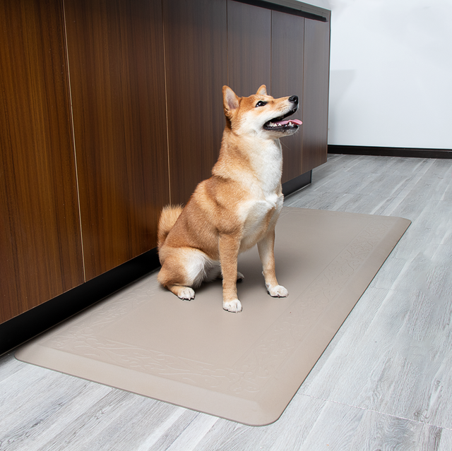 Pet Friendly Anti Fatigue Mat 