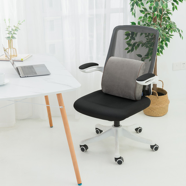 Soft Memory Lumbar Support Pillow